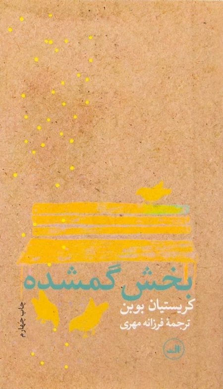 بخش گمشده