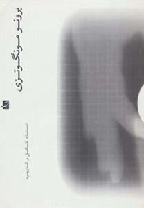 برونو مونگوتزی (استاد شکل و کاربرد)