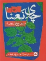 چای نعنا: سفرنامه و عکس های مراکش