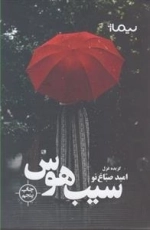 سیب هوس - پازل شعر امروز