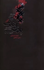پنج تکه اصلی از پازل زندگی
