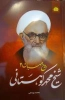 روح مهربان 2: شیخ محمد کوهستانی