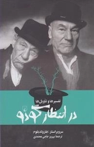 تفسیرها و تاویل ها در انتظار گودو