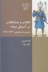 انقلاب و ضد انقلاب در آسیای میانه - شورش باسماچیان