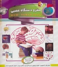 دانستنی هایی درباره بدن (مغز و دستگاه عصبی)