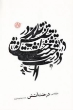 درخت آتش