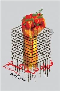 فریاد در خاکستر و چند داستان دیگر