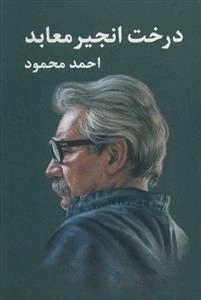 درخت انجیر معابد: دو جلدی