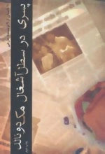 پسری در سطل آشغال مک دونالد :10 داستان از 9 نویسنده خارجی