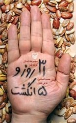 سی و یک روز و پنج انگشت: مجموعه داستان کوتاه طنز