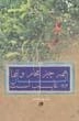 همه چیز مجاز و تنها انسان غایب است