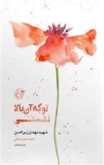 از چشم ها 5: تو که آن بالا نشستی - شهید مهدی زین الدین