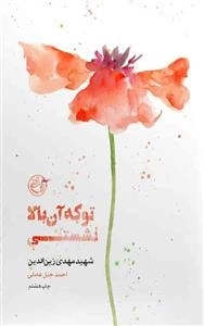 از چشم ها 5: تو که آن بالا نشستی - شهید مهدی زین الدین