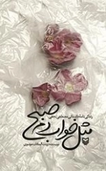 مثل خواب دم صبح