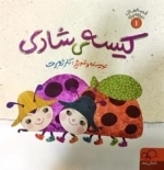 کیسه ی شادی