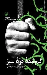 گمشده دره سبز