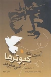 آنجا که کبوترها می میرند
