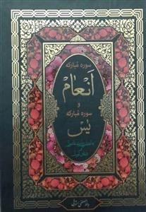 سوره مبارکه انعام بانضمام سوره یاسین زیارت عاشورا و دعای توسل