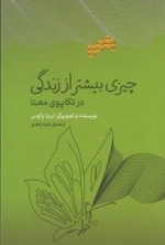 چیزی بیشتر از زندگی - در تکاپوی معنا
