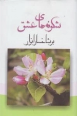 شکوفه های عشق بر شاخسار انوار