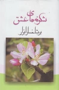شکوفه های عشق بر شاخسار انوار