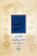 بر لب دریای مثنوی معنوی: بیان مقاصد ابیات