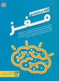کلاه سه بعدی مغز