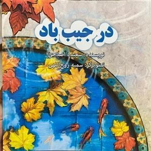 در جیب باد