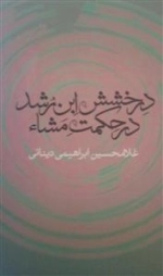 درخشش ابن رشد در حکمت مشاء