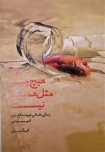 هیچ چیز مثل همیشه نیست - زندگی داستانی شهید مدافع حرم امیر سیاوشی