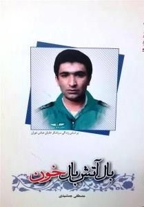 بال آتش بال خون