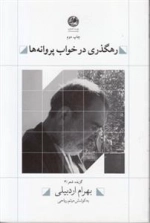 رهگذری در خواب پروانه ها