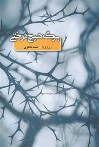 برگ هیچ درختی