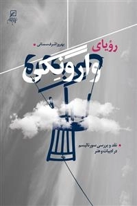 رویای وارونگی
