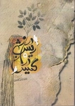 گیس دراز و ریش دراز