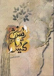 گیس دراز و ریش دراز
