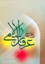در جستجوی عرفان اسلامی