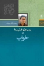 شعر (86) : بمب های خنثی شده در خواب