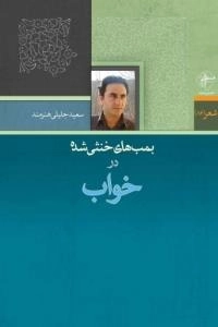 شعر (86) : بمب های خنثی شده در خواب