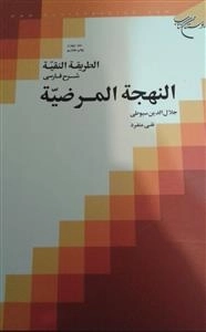 الطریقه النقیه شرح فارسی النهجه المرضیه : جلد 4