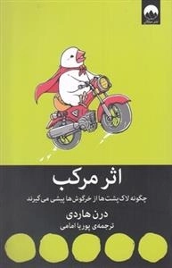 اثر مرکب - چگونه لاک پشت ها از خرگوش ها پیشی می گیرند