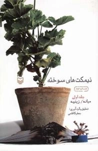 نیمکت های سوخته - جلد اول: میانه/ زینبیه