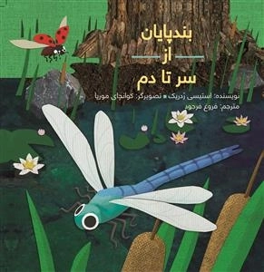 بندپایان از سر تا دم