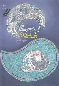از پنجره های بی پرنده
