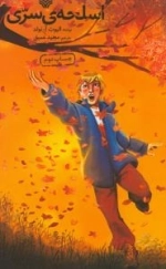 اسلحه سری