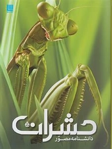 دانشنامه مصور حشرات