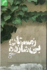 زمستان بی شازده