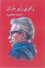 زائری زیر باران