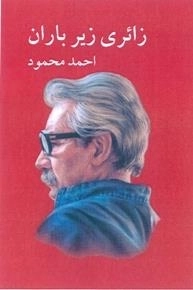 زائری زیر باران