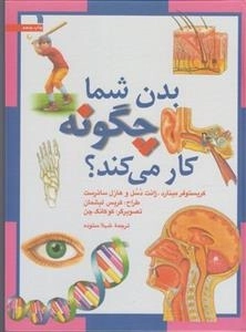 بدن شما چگونه کار می کند